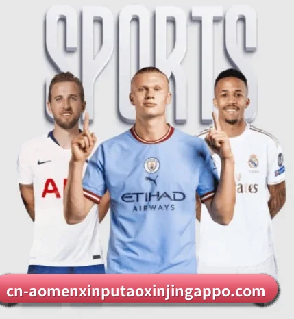 五个功能入口,赛程查询路径更短